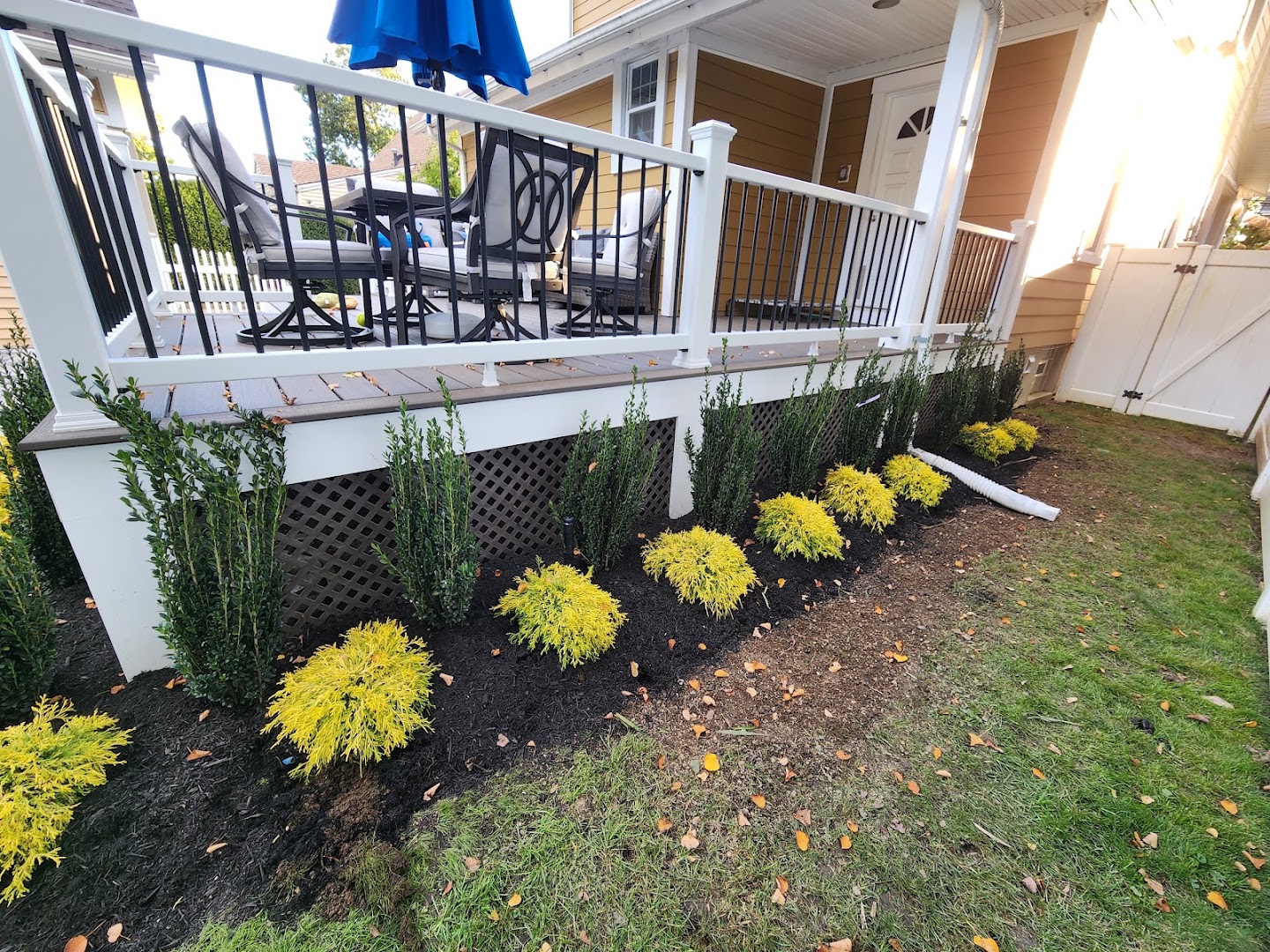 Plantings — Oceanside